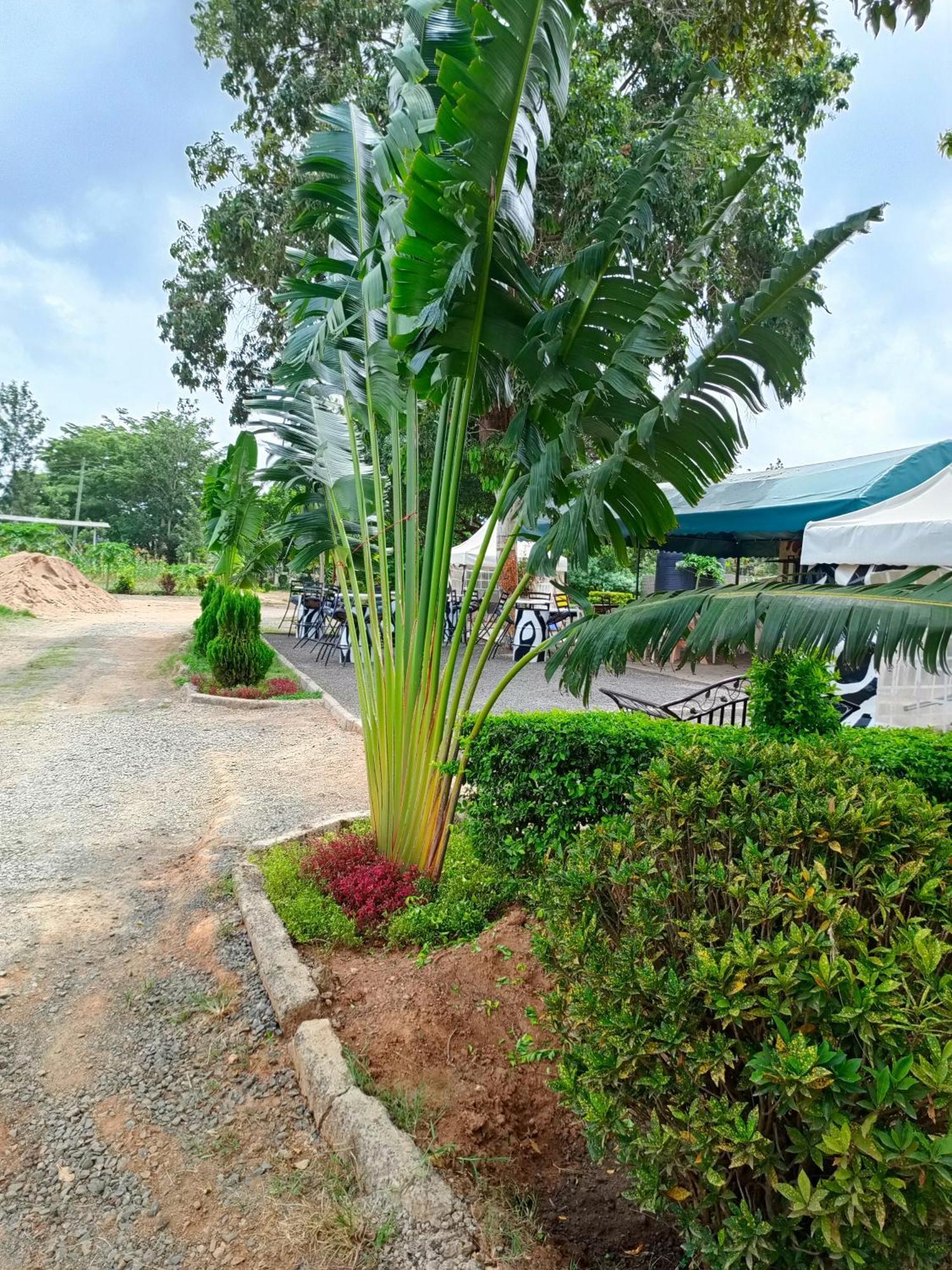 The Mara Resort Kitui Dış mekan fotoğraf